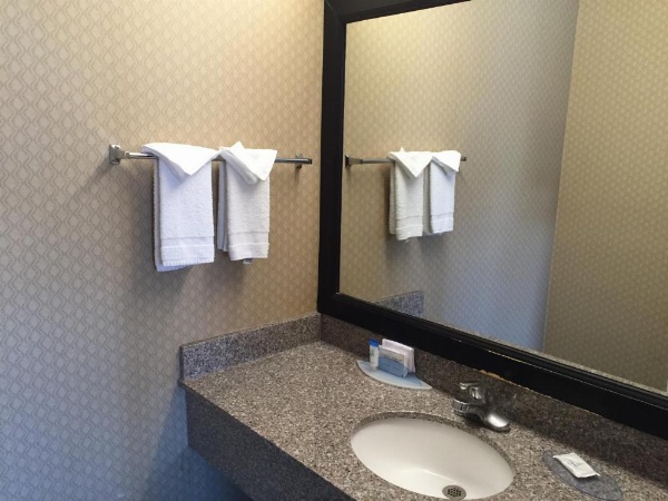 Regency Inn at San Francisco Airport image 11